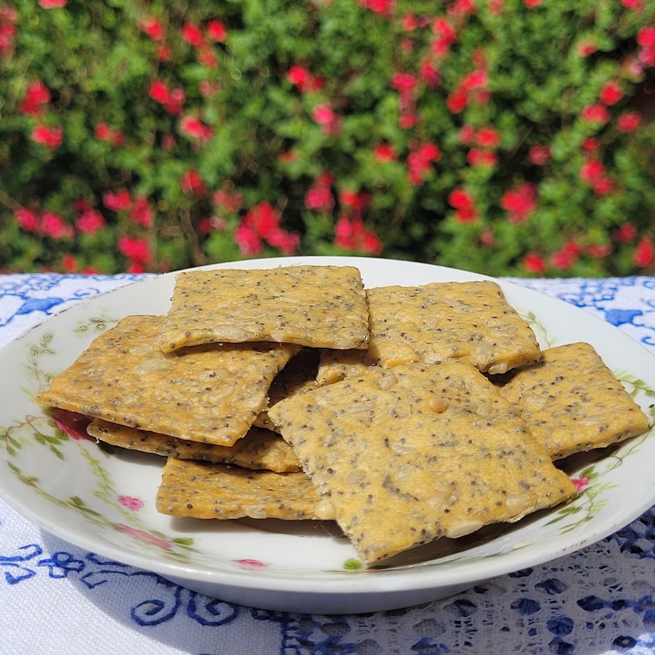 Cracker aux graines