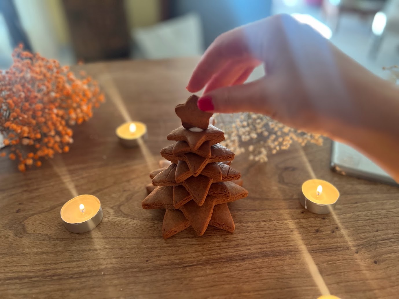 Kit pain d'épices à monter Sapin